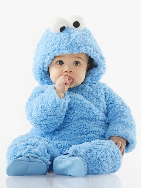 pottery barn cookie monster costume - Picture 1 of 1